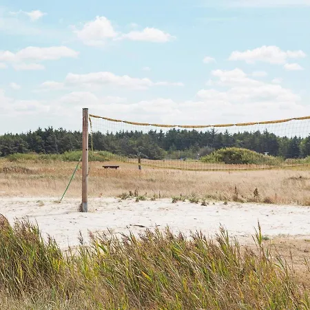 Xxix Hirtshals